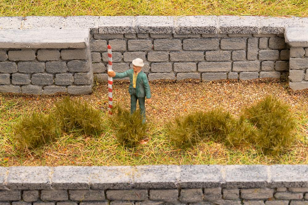 Grasbüschel, dunkelgrün