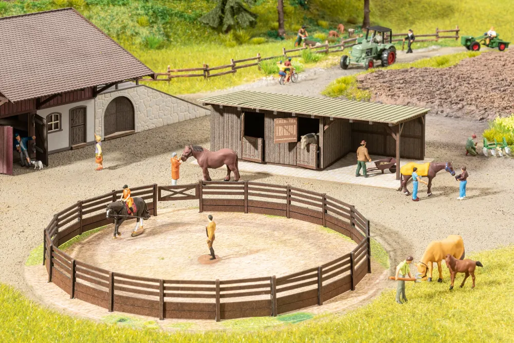 H0 micro-motion Reitplatz