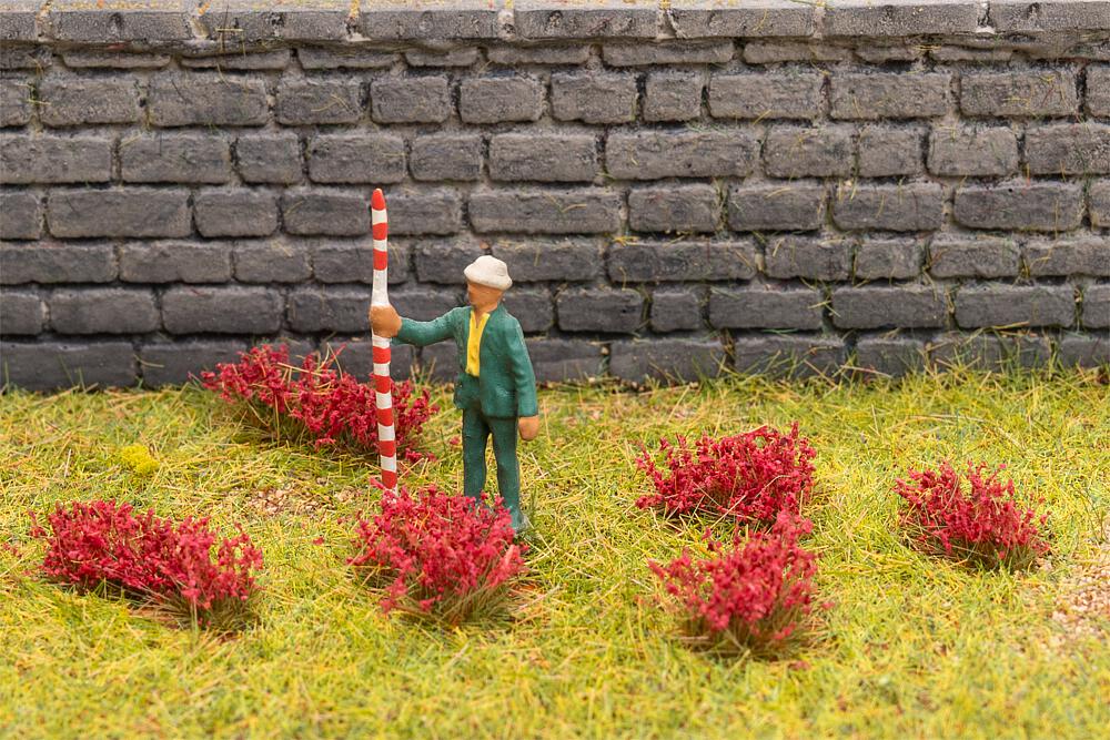 Blütenbüschel, rot