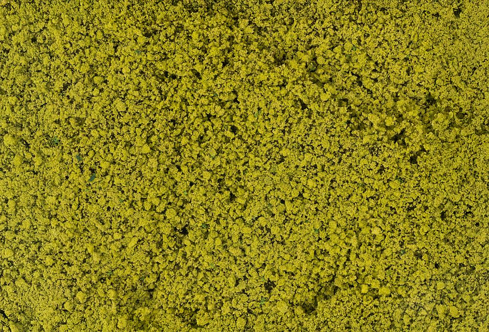Blätterfoliage, hellgrün