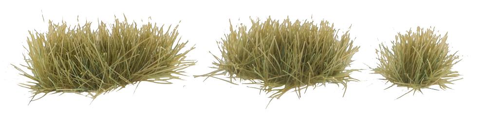 Grasbüschel, trockenes Gras