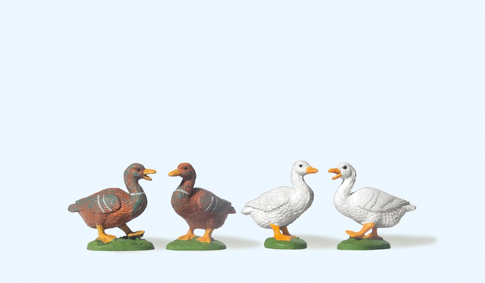 4 Enten