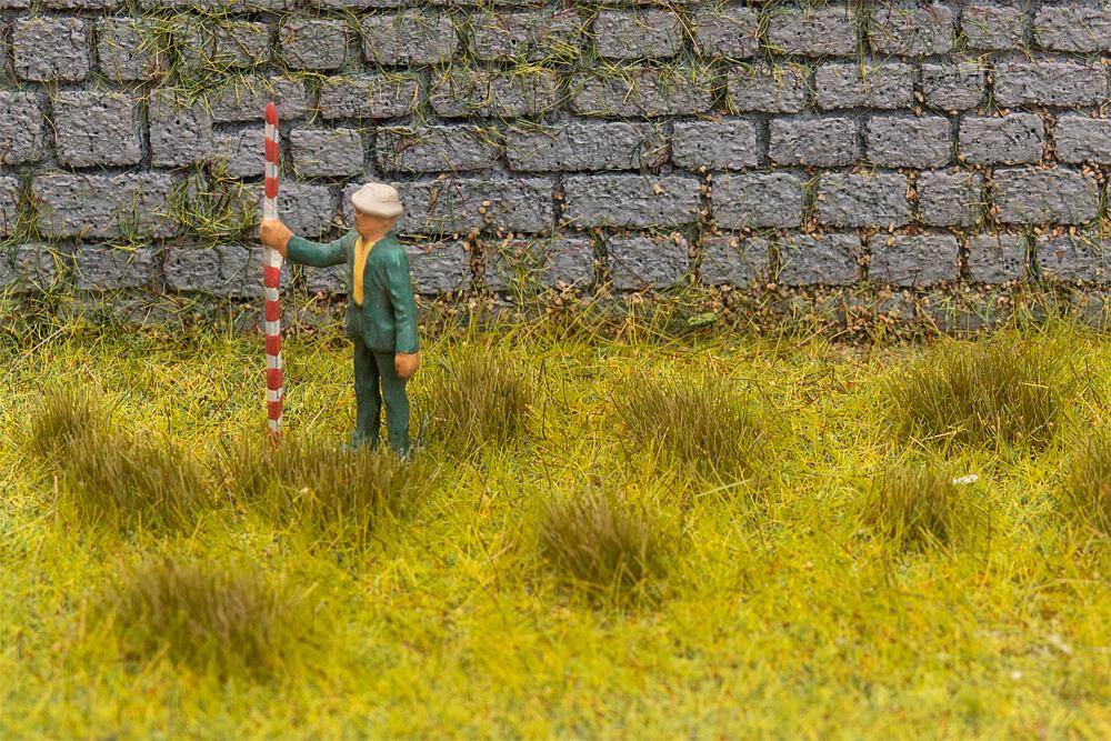 Grasbüschel, trockenes Gras