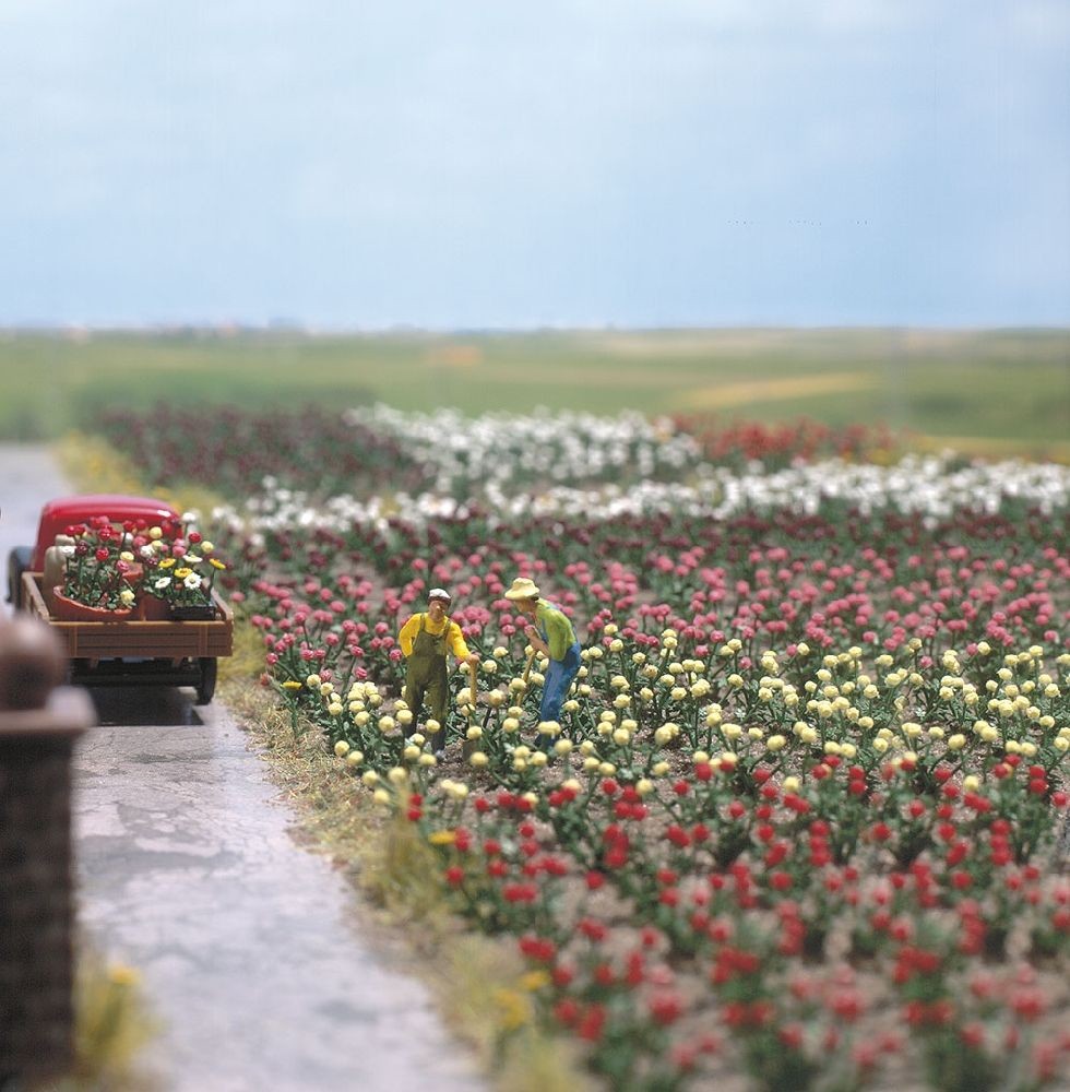 120 Rosen H0