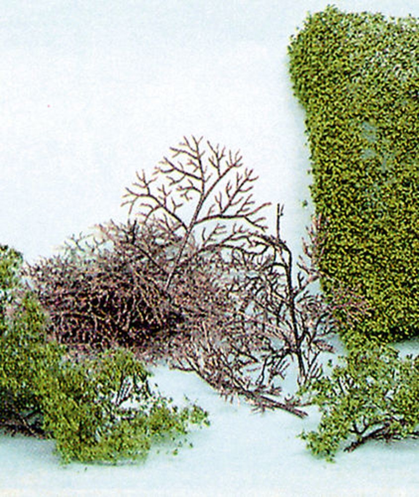 15 Büsche 2-6 cm + HEKI flor