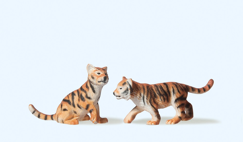 2 junge Tiger