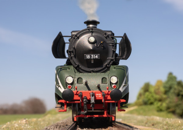 T25029